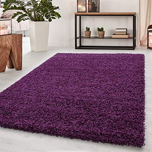 Abaseen Small Large Shaggy Rug Modern Rugs Living Room Extra Large Small Medium Rectangular Size Soft Touch Thick Pile Living Room Area Rugs Non Shedding (Purple, 80x150 cm)
