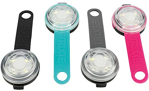 Flasher USB LED Taschenlampe für Hunde, 3 x 8cm, reflektierend, leuchtend und Sicherheit liefert, Hunde, Nachrichten