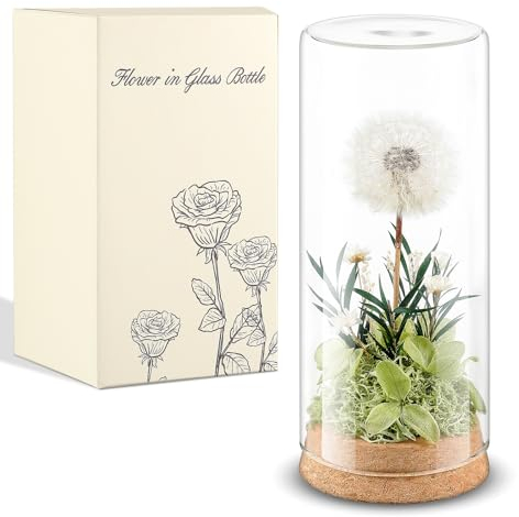 Blulu Pusteblume Wunscherfüller Geschenke für Frauen Echte Pusteblume im Glas Konservierte Blumen im Glas Geschenke für Geburtstag Hochzeit Weihnachten Mama Oma Freundin