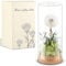 Blulu Exauceur de Vœux Véritable Pissenlit en Verre Cadeaux pour Femme Fleurs Préservées en Verre Cadeaux pour Anniversaire Fête des Mères Mariage Noël Maman Grand-Mère