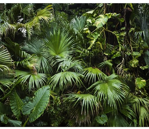 murando - Fototapete selbstklebend Monstera, 392x280 cm, Schlafzimmer | Selbstklebend ohne Kleister, Full HD Druck, ideal fürs Wohn- oder Schlafzimmer, schnelle Montage, lichtbeständig, geruchsfrei