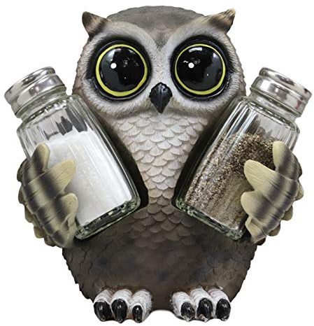 Ebros Gift Skurriles Eulen-Baby-Eule mit großen runden Augen, Glas-Salz- und Pfefferstreuer, Display-Figuren-Set 15.2 cm hoch, Wildtierwelt, flüsterernder Waldgeist, Heimdekoration, Akzent
