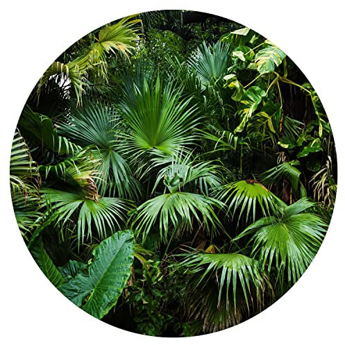 murando - Rond Papier peint Motif Rétro années - 230x230 cm Décoration Murale XXL Original Poster Tableaux Muraux Tapisserie Photo Trompe l'oeil - nature fleurs plantes jungle vert noir b-B-0312-bg-a