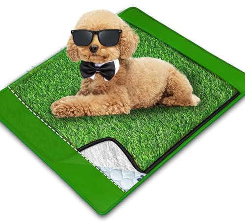 Annexfun Tapis d'herbe pour chien avec tapis d'urine de 50,8 x 63,5 cm, petite litière pour chien, gazon artificiel, porche, bac de pot de terrasse, réutilisable, lavable et pelouse pour remplacement