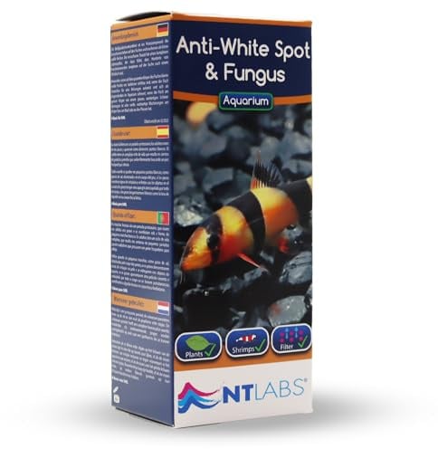 NT Labs Aquarium Anti White Spot & Fungus Treatment (100ml Treats 500L) | 7-day malachite green & formaldehyde course cures white spot & cotton wool fungus. Non-toxic to shrimp & snails.