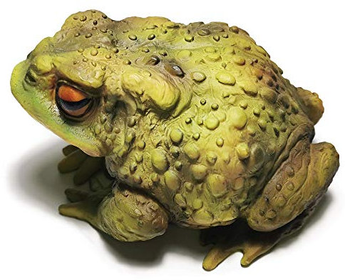 Muse Design Sculptures de Grenouille Verte en résine pour décoration de Jardin