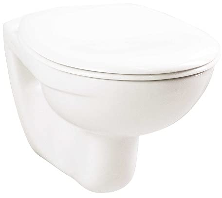 Wand- /Stand-WCs Tiefspüler/Flachspüler weiß Unterputz/Aufputz Spülsysteme Ausführung Wand-WC Tiefspüler weiß