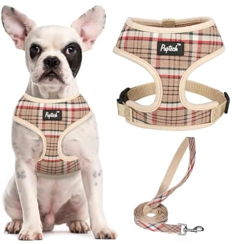 PUPTECK Dog Harness Small Dog Soft Mesh Pet Puppy Cat Comfort Padded Vest No Pull Harnesses and Lead Set