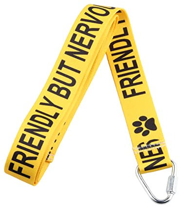 Friendly But Nervous/Give Me Space Dog Working Dog Lead Rescue Dogs Anxious Dogs Gift (Friendly But Lead)
