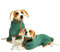 MEIION DogCuddlie Hundebademantel Super Saugfähig, Schützt vor Kälte, Ideal für Alle Hunderassen, Komfortabel und Langlebig