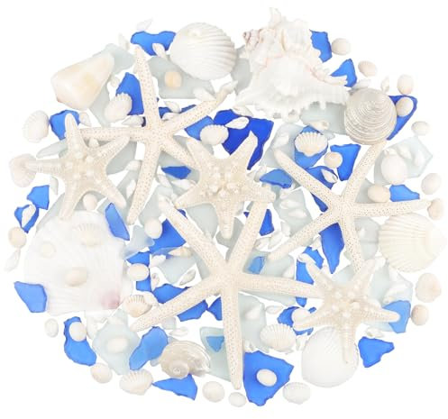 Fangoo Coquillages de Plage Mixtes Artisanat de Verre de Mer 7-15cm Coquillages Décoratifs étoiles de mer Naturelles pour Vase Remplissage Plage thème fête Mariage décoration Bracelet Bijou DIY