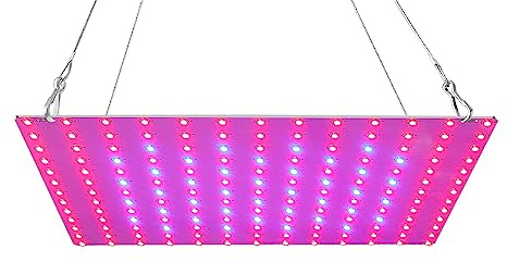 ACAGALA LED Grow Light Rot Blau Vollspektrum 81 LEDs Grow Lampen LED Panel Grow Light Sukkulenten Hydroponisches Gewächshaus Zimmerpflanze Blume Vegetatives Wachstum