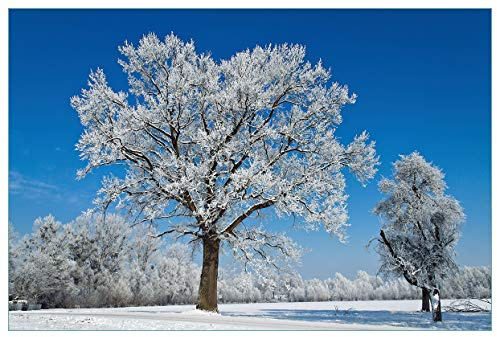 Wallario Küchenrückwand selbstklebend 90 x 60 cm, Motiv: Schneebedeckter Baum mit blauen Himmel | Spritzschutz abwischbar & pflegeleicht
