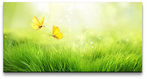 Paul Sinus Leinwandbild 120x60cm Sommer Wiese Gras Schmetterlinge Sonnenstrahlen