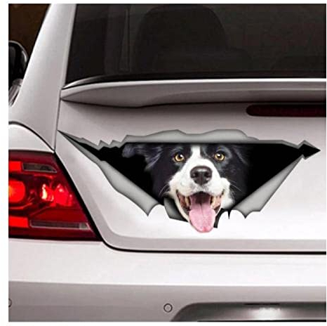 OGJFLT Auto Sticker Autoaufkleber Lustig Dog 2Pcs 18Cm Border Collie Aufkleber, Auto-Aufkleber, Vinyl-Aufkleber, Haustier-Aufkleber, Hund-Aufkleber, Border Collie-Auto-Aufkleber