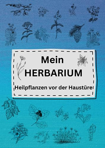 Mein Herbarium: Heilpflanzen vor der Haustüre
