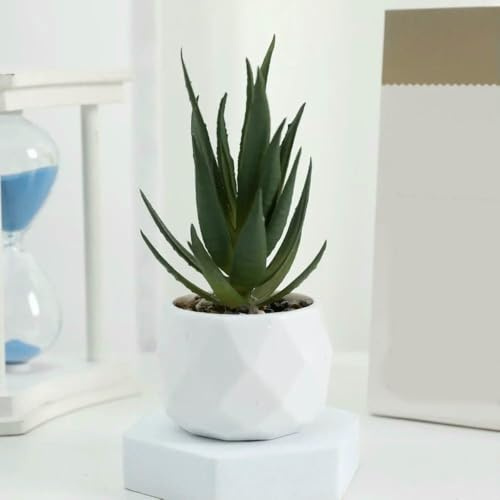 JJDFW Plantes artificielles Simulation Succulentes Mini Bonsaï à Feuilles persistantes Cactus Succulent Plastique Fausse Plante Décorative
