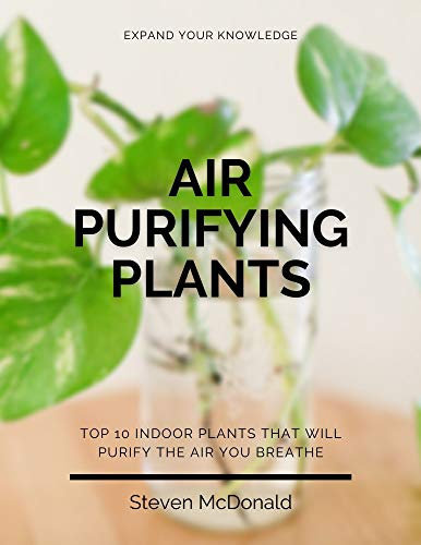 Air Purifying Plants: Top 10 Indoor Plants That Will Purify The Air You Breathe (Expand Your Knowledge)