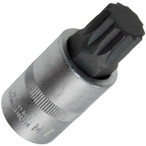 M17 XZN Vielzahn (Doppel-Sechskant/Doppel-6-kant) Bit/Bitsätze Einsatz Nuss L 60 mm - Steckschlüssel Einsätze 1/2-Antrieb für z.B. Zylinderkopfschrauben