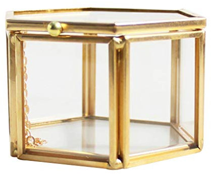 Fenteer Klassische Glasterrarium Gewächshaus Schatulle Kasten Töpfe Box für Immerwährende Schmuck und Pflanzen, Golden, 8 x 6,8 x 4,5 cm