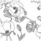 murando Vlies Tapete Blumen - Deko Panel Fototapete Wanddeko 10 m Tapetenrolle Mustertapete Wandtapete modern design Dekoration - Mohn schwarz weiß b-B-0392-j-a