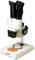 Microscopio Estereoscópico Levenhuk 2ST (40x) para Observaciones en 3D de Joyas, Minerales, Monedas y Otros Objetos de Interés
