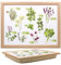 Tamersgifts Cushioned Laptrays Lap Tray TV Dinner Bean Bag Padded Cushion Gift (Herb Flowers Lap tray)