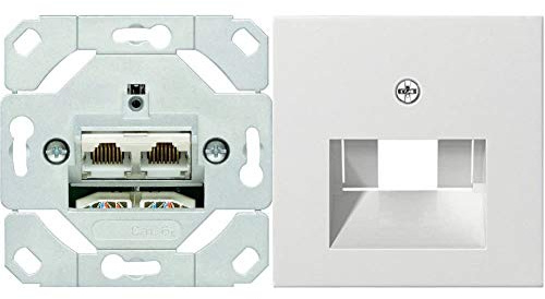 Gira 245200 Netzwerkdose 2-fach Cat.6A IEEE 802.3an Unterputz Einsatz & 27003 Zentralplatte 50 x 50 mm für UAE/IAEST55 reinweiß-glänzend Anschlußdosen, 027003