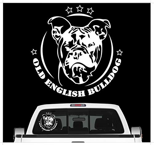 siviwonder Auto Aufkleber Old English Bulldog Kopf Bully Hund OEB Wilsigns Hundeaufkleber autoaufkleber Hund Folie Hundemotiv (weiß)