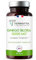 GINKGO BILOBA 12000 mg | Extrait 50:1 Hautement Dosé 6000 mg par Gélule | Booster Mémoire - Concentration - Acouphènes - Circulation Sanguine | 60 Gélules Vegan | Made in France | Terravita