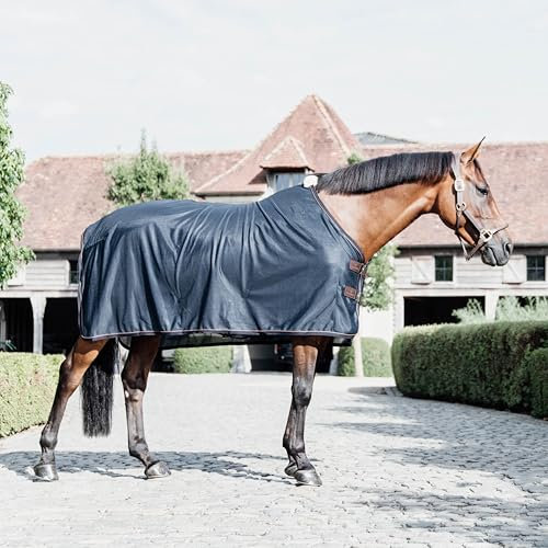 Kentucky - Mesh Fliegendecke Navy 160-7'0