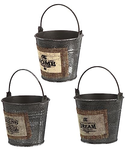 Cabilock 3 Pièces Fontaine en Étain Vase Cruche Minable Étain Seau avec Poignée Pot Seau en Métal Vase Rustique De Campagne Bouquets Vase Fleur De Pays Fleurs Le Fer Suspension en Fer