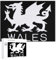 Wales Welsh Flag Novelty Wooden Jigsaw Puzzle Funny Pictures DIY Wall Art Decor for Home Office 500 PCS