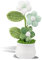 Kotkiddy Vaso portafiore con Fiori all'Uncinetto, Fiori Colorati sfumati, Fiori Artificiali per Decorazioni Floreali, Regalo per San Valentino. (Bianco Verde)