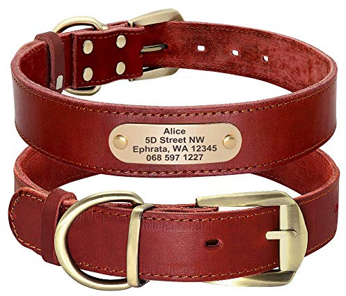 Didog - Collares para Perro de Piel auténtica con Placa de Nombre grabada, Collar de Perro de Cuero Suave Personalizado con Etiqueta de identificación Personalizada