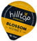 Hilltop Honey - Blossom Honey -Individual Pots - 100 x 25g