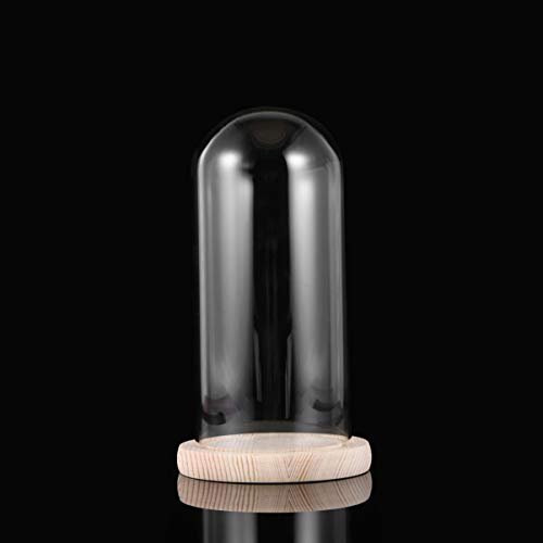 Beavorty Glasbehälter Glas Cloche Glasglocke Mit Holzsockel Glaskugeln Für Pflanzen Käseglocke Schaukasten Ewiges Blumenglas Torten Glashaube Stand Hölzern Handbuch Ausstellungsbehälter