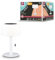 Paulmann 94606 Solar LED Akkutischleuchte Bartja IP44 2700K Weiß USB-C Akku Mobile Tischleuchte
