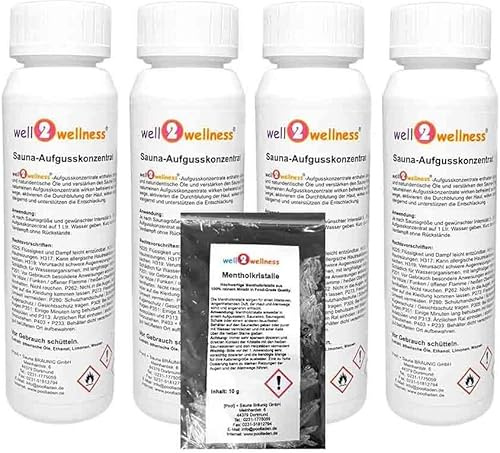 well2wellness Huile essentielle de sauna Essence concentré de Sauna Infusion 4 x 125 ml Glace fraîche, hiver finlandais, plantes médicinales japonaises, mélisse
