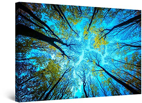 Startonight Impression Sur Toile Peinture Haut dans le Ciel Arbres et Forêt, Tableau Paysage Encadrée - Decoration Murale Salon Moderne - Image sur Toile - Grande 80 x 120 cm Idée Cadeau Élégante
