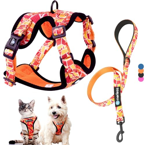 Hundegeschirr für kleine Hunde, Welpen oder Katzen (3-7,5 kg) Brustgeschirr ohne Zug, gepolstert, mit Leine, pet Weste, sehr leicht, atmungsaktiv, weich, einstellbar, originell, Geschenkbox (S,Orange)