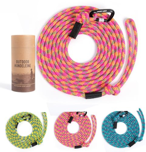Hundeleine 5m reflektierend, robuste Hundeleine für mittel & große Hunde, Nylon Leine mit Aluminium Sicherheitskarabiner, reißfest, Anti-Zug Hundeleine, Trainingsleine, Seeblau