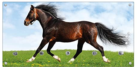 banjado® Wandgarderobe aus Echtglas/Design Garderobe 80x40x6 cm groß/Flurgarderobe mit 5 Haken/Magnetisches Garderobenpaneel Motiv Pferd