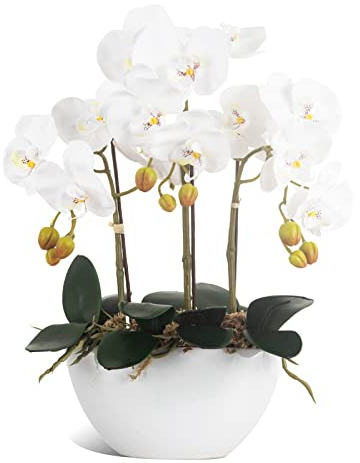 Ziwon Artificial Orchid Flowers Potted in Ceramic Pot, White Faux Phalaenopsis Orchids for Table Centerpiece, Realistic Fake Flower in vase for Home Office Decor Indoor