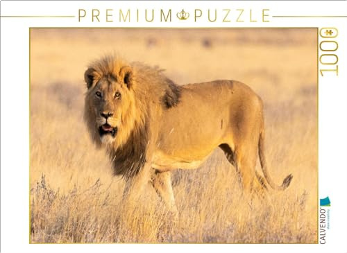 CALVENDO Puzzle Löwenmännchen im Etosha Nationalpark | 1000 Teile Lege-Größe 64 x 48 cm Foto-Puzzle für glückliche Stunden