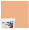 Preismaxx Profi Fassadenfarbe urban colors, bunte Außenfarbe, orange, aprikose, apricot 2,5L, matte, wasserabweisende Aussen-Dispersion, hohe Wasserdampfdurchlässigkeit