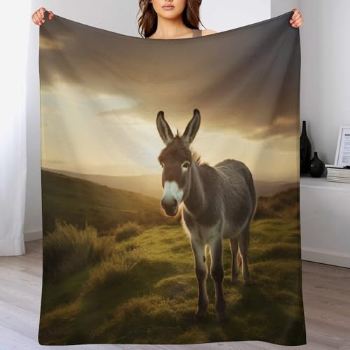 Decke Esel Flauschige Plüsch BettDecke, Extra Weich & Warm, Wohndecke Flannel Fleece Decke Als Sofadecke & Couchdecke（130×180cm）