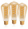 EXTRASTAR Ampoule à filament LED E27, 490LM 2700K Blanc Chaud, Ampoules Rétro Edison Vintage Antique Lampe, 6W Equivalent à Ampoule Traditionnelle 41W, Lot de 3