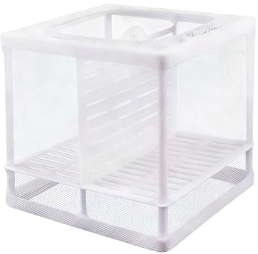 1 x Züchternetz für Aquarien, Mini-Aquariumzucht mit feinem Nylongewebe und Saugnäpfen, multifunktionaler Brutkasten für die Zucht und Schlüpfen von Babyfischen, Guppy-Garnelen