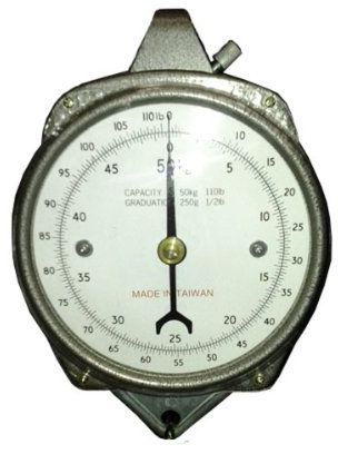 Zenport accuzen Aufhängen Mechanische Waage mit Zifferblatt 100-lbs silber